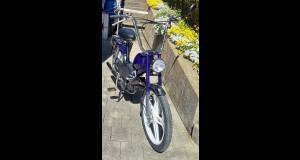 Pony 503 2Gang Automat