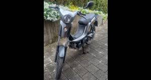 BYE BIKE One Occasion