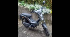 BYE BIKE One Occasion
