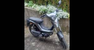 BYE BIKE One Occasion