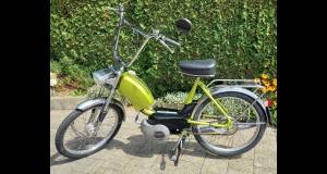 puchveluxgruenb1_original