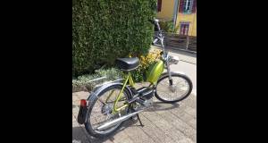 puchveluxgruenb3_original