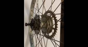 ruecktrittrad19zolle_original